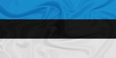 Estonya Bayrak Dalgası