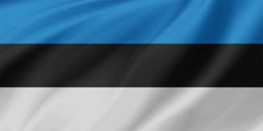 Estonya Bayrak Dalgası