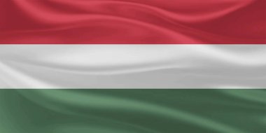 Macaristan Bayrak Dalgası