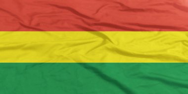 Bolivya Bayrağı Yakından Dalgalanıyor