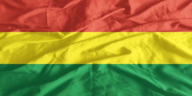 Bolivya Bayrağı Yakından Dalgalanıyor
