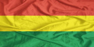 Bolivya Bayrağı Yakından Dalgalanıyor
