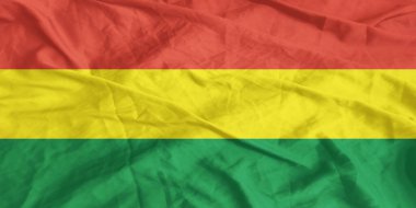 Bolivya Bayrağı Yakından Dalgalanıyor
