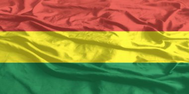 Bolivya Bayrağı Yakından Dalgalanıyor