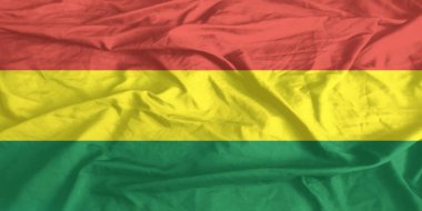 Bolivya Bayrağı Yakından Dalgalanıyor