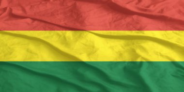 Bolivya Bayrağı Yakından Dalgalanıyor