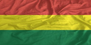 Bolivya Bayrağı Yakından Dalgalanıyor