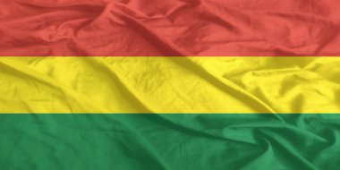 Bolivya Bayrağı Yakından Dalgalanıyor