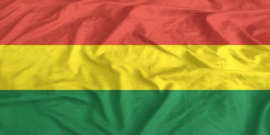 Bolivya Bayrağı Yakından Dalgalanıyor