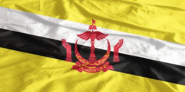 Brunei Bayrağı Dalgalanıyor Yakından