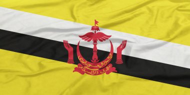 Brunei Bayrağı Dalgalanıyor Yakından