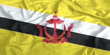 Brunei Bayrağı Dalgalanıyor Yakından