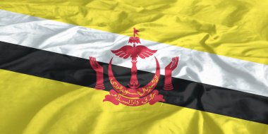 Brunei Flag Waving Close Up clipart