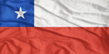 Şili Bayrağı Yakından Dalgalanıyor