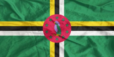 Dominica Bayrağı Yakından Dalgalanıyor