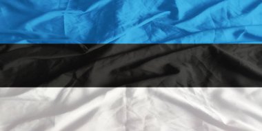 Estonya Bayrağı Dalgalanması Yakından