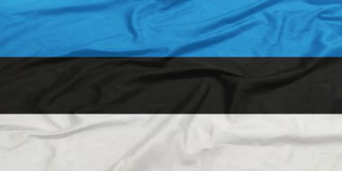 Estonya Bayrağı Dalgalanması Yakından