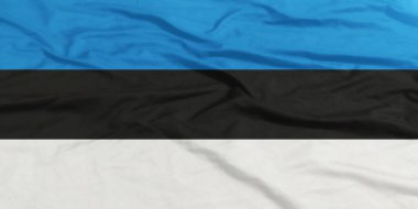 Estonya Bayrağı Dalgalanması Yakından