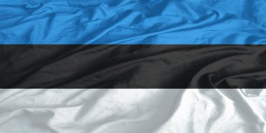 Estonya Bayrağı Dalgalanması Yakından