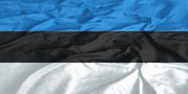 Estonya Bayrağı Dalgalanması Yakından