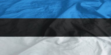 Estonya Bayrağı Dalgalanması Yakından