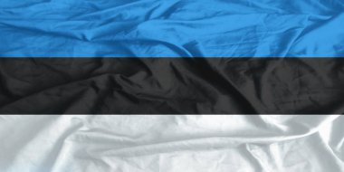 Estonya Bayrağı Dalgalanması Yakından