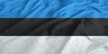 Estonya Bayrağı Dalgalanması Yakından