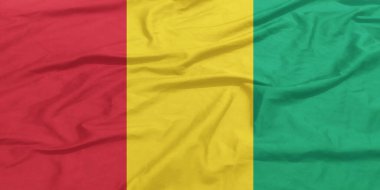 Gine Bayrağı Dalgalanıyor Yakından