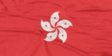 Hong Kong Bayrağı Yakından Dalgalanıyor