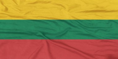 Litvanya Bayrağı Yakından Dalgalanıyor