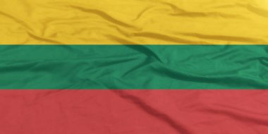 Litvanya Bayrağı Yakından Dalgalanıyor