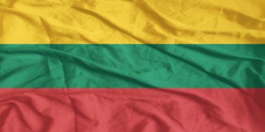 Litvanya Bayrağı Yakından Dalgalanıyor