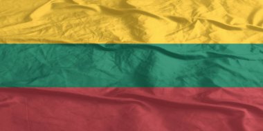 Litvanya Bayrağı Yakından Dalgalanıyor
