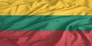 Litvanya Bayrağı Yakından Dalgalanıyor