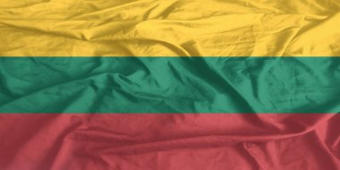 Litvanya Bayrağı Yakından Dalgalanıyor