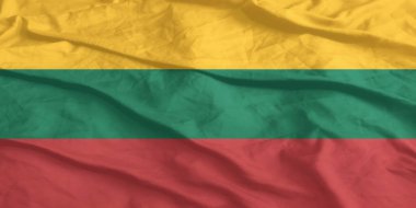 Litvanya Bayrağı Yakından Dalgalanıyor