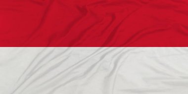 Monaco Flag Waving Close Up clipart