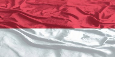 Monaco Flag Waving Close Up clipart