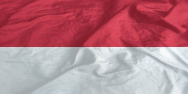 Monaco Bayrağı Dalgalanıyor Yakından