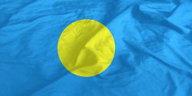 Palau Bayrağı Yakından Dalgalanıyor