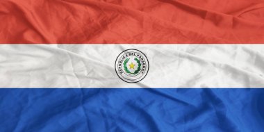 Paraguay Bayrağı Dalgalanıyor Yaklaş