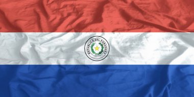 Paraguay Bayrağı Dalgalanıyor Yaklaş