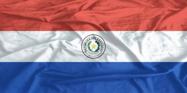 Paraguay Bayrağı Dalgalanıyor Yaklaş