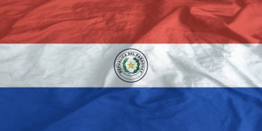 Paraguay Bayrağı Dalgalanıyor Yaklaş