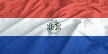Paraguay Bayrağı Dalgalanıyor Yaklaş