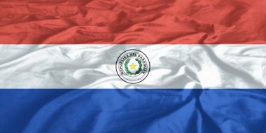 Paraguay Bayrağı Dalgalanıyor Yaklaş