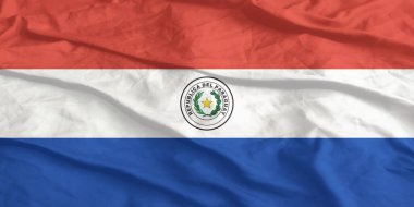 Paraguay Bayrağı Dalgalanıyor Yaklaş
