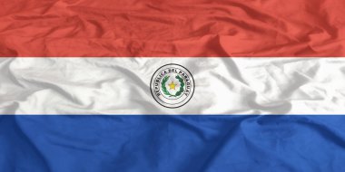 Paraguay Bayrağı Dalgalanıyor Yaklaş