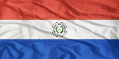 Paraguay Bayrağı Dalgalanıyor Yaklaş