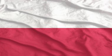 Polonya Bayrağı Yakından Dalgalanıyor